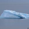 Iceberg near St. John's (c) Melissa Hafting 2022